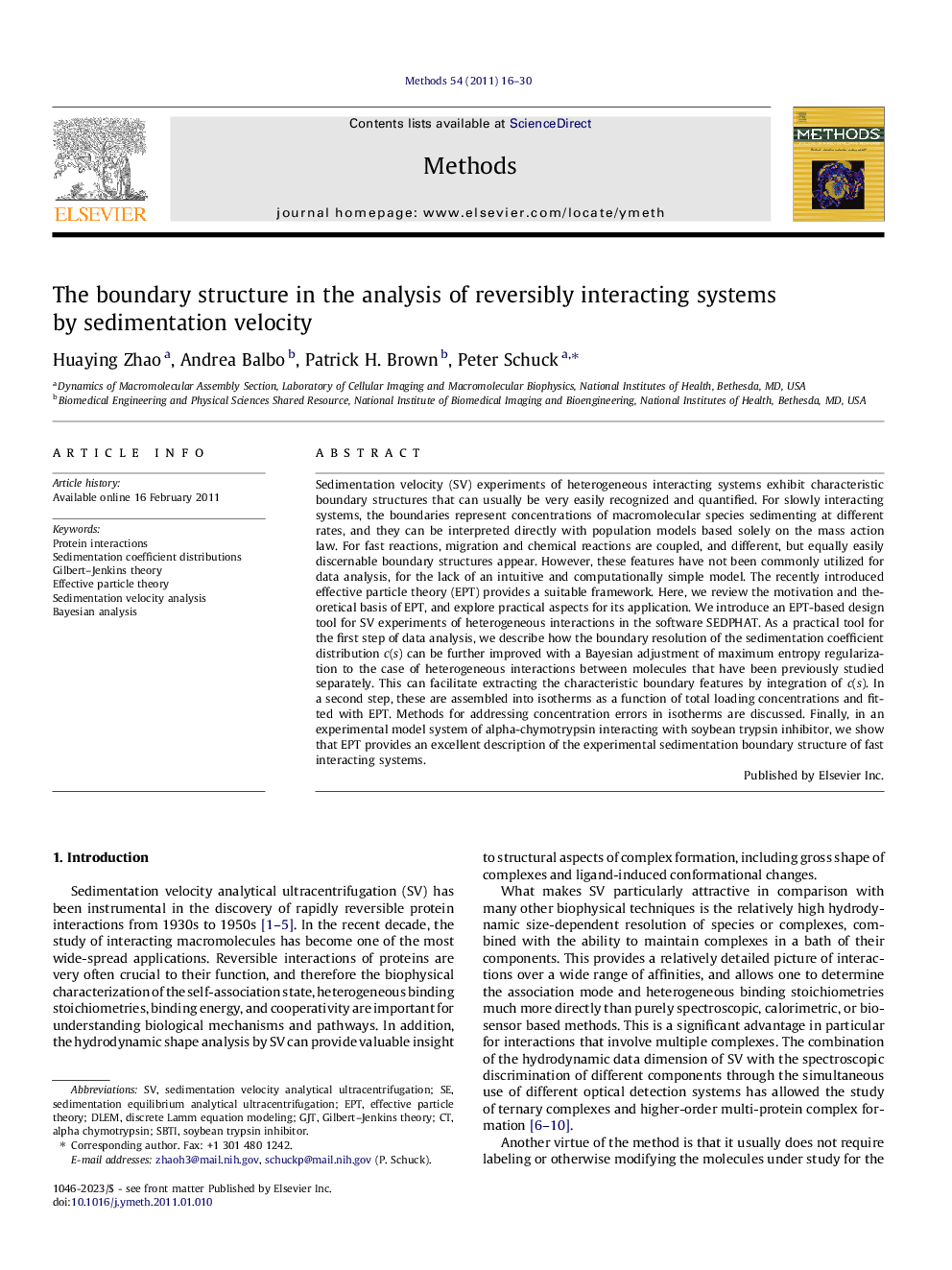 The boundary structure in the analysis of reversibly interacting systems by sedimentation velocity