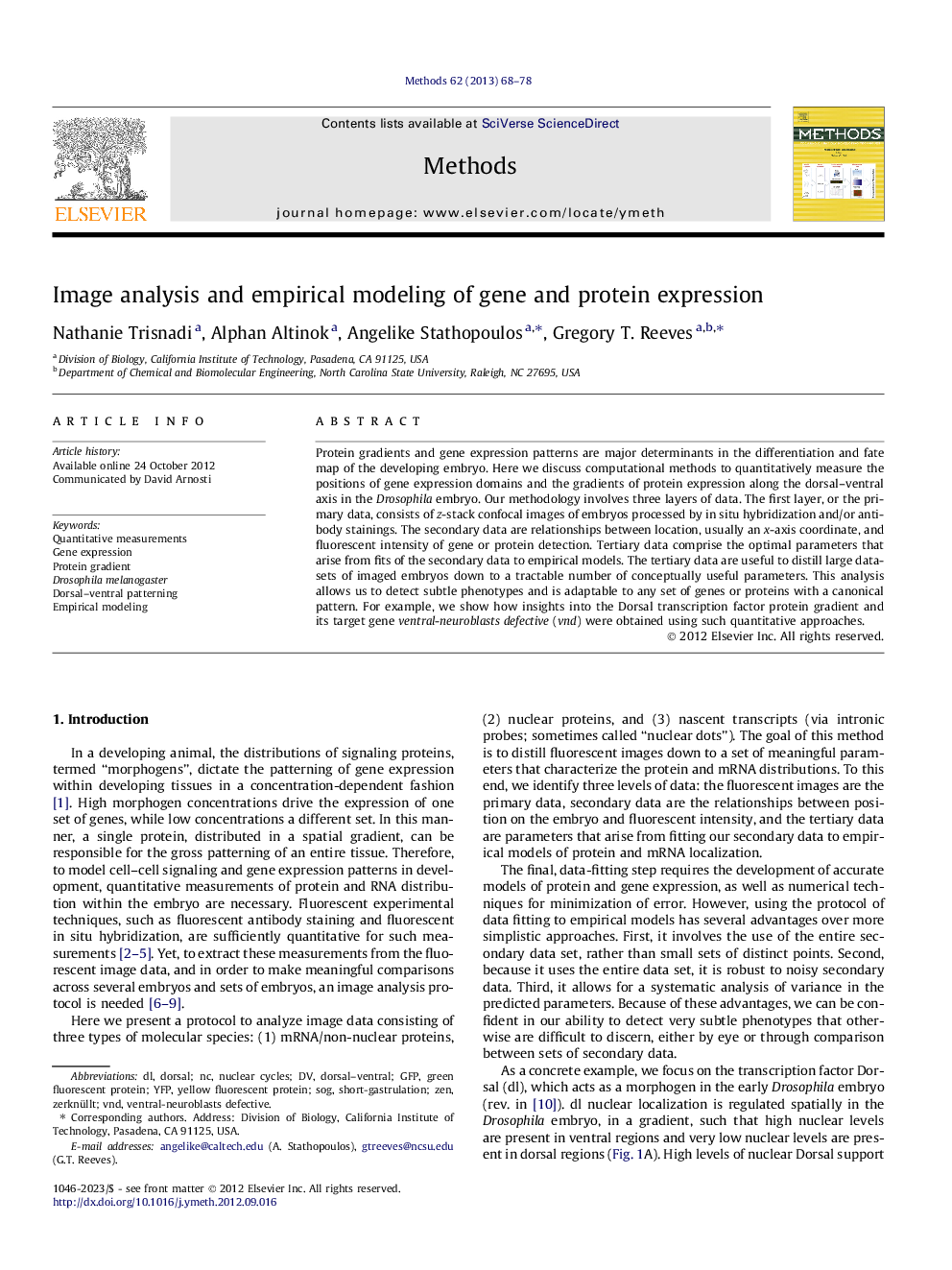 Image analysis and empirical modeling of gene and protein expression