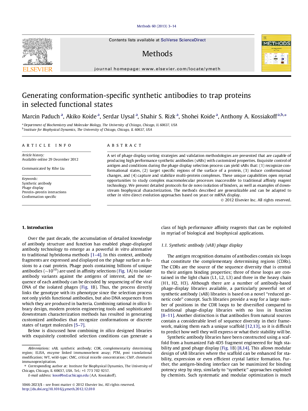 Generating conformation-specific synthetic antibodies to trap proteins in selected functional states