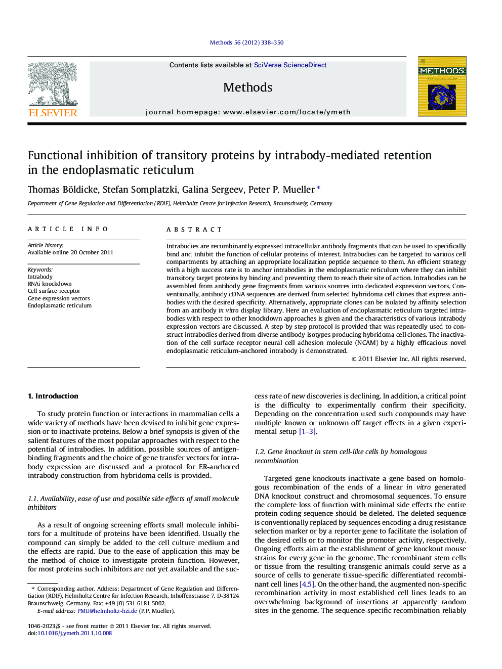 Functional inhibition of transitory proteins by intrabody-mediated retention in the endoplasmatic reticulum