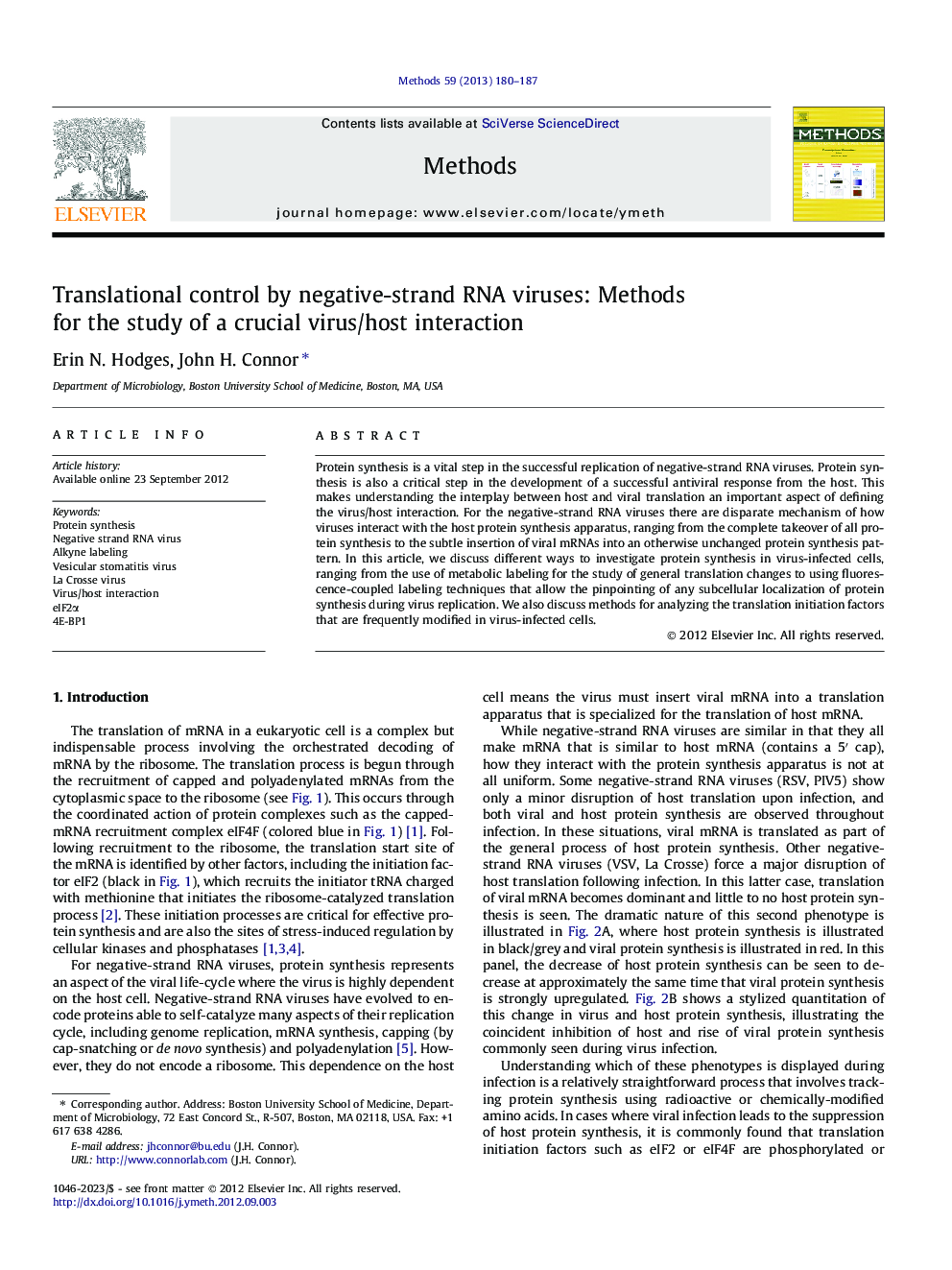 Translational control by negative-strand RNA viruses: Methods for the study of a crucial virus/host interaction