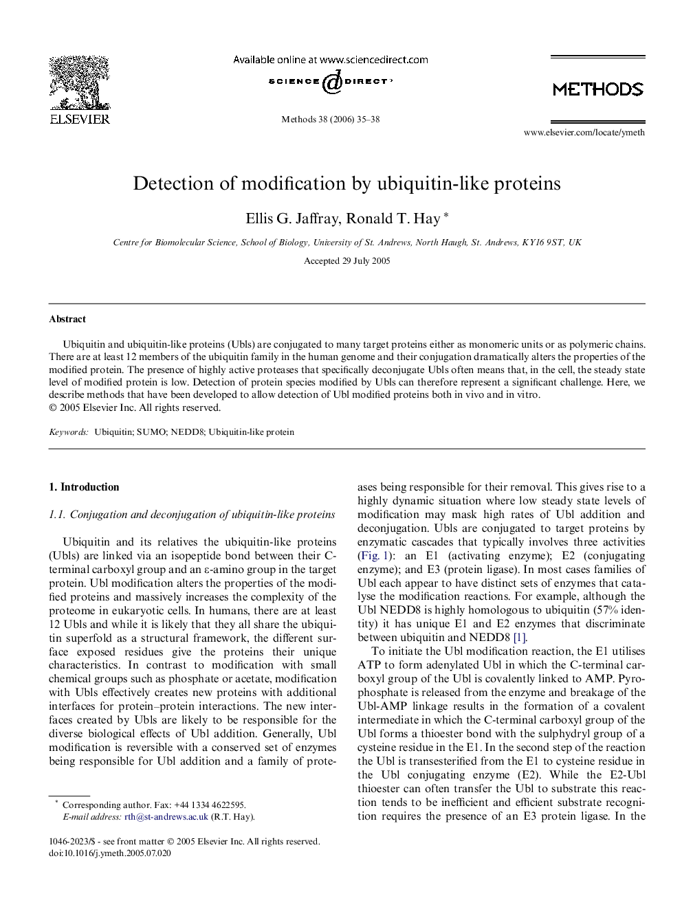 Detection of modification by ubiquitin-like proteins