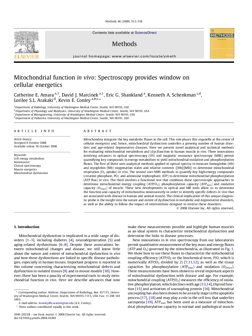 Mitochondrial function in vivo: Spectroscopy provides window on cellular energetics