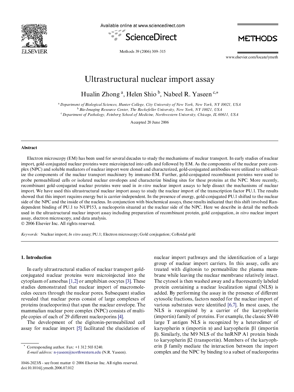 Ultrastructural nuclear import assay