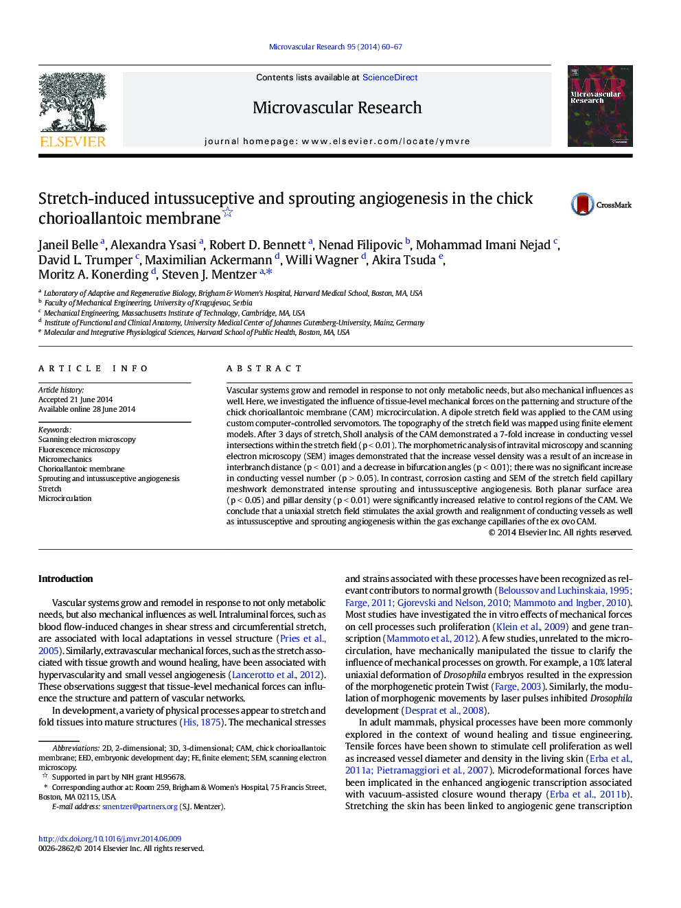 Stretch-induced intussuceptive and sprouting angiogenesis in the chick chorioallantoic membrane 