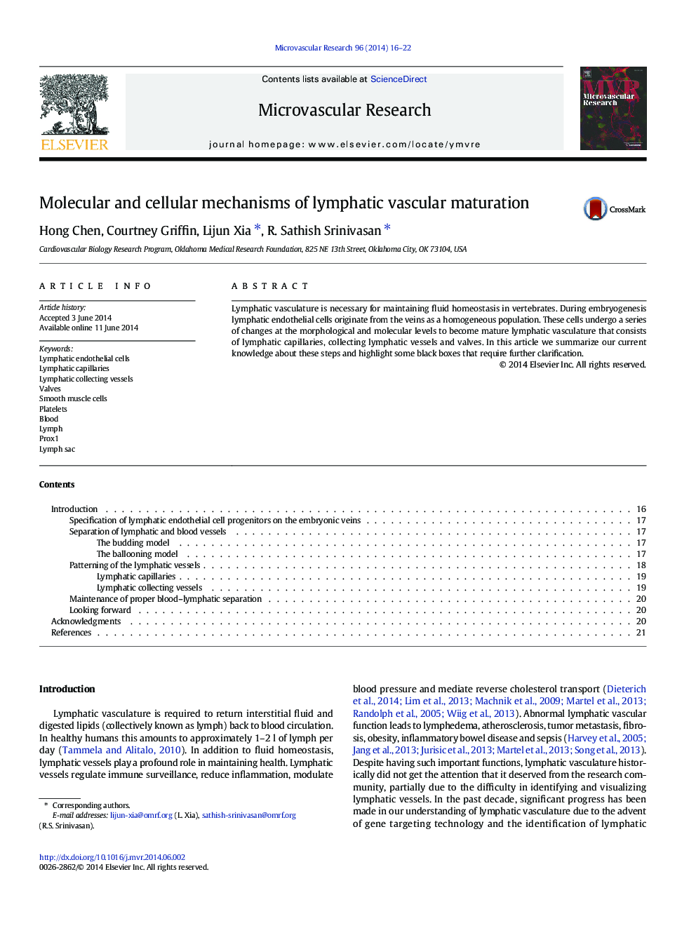 Molecular and cellular mechanisms of lymphatic vascular maturation