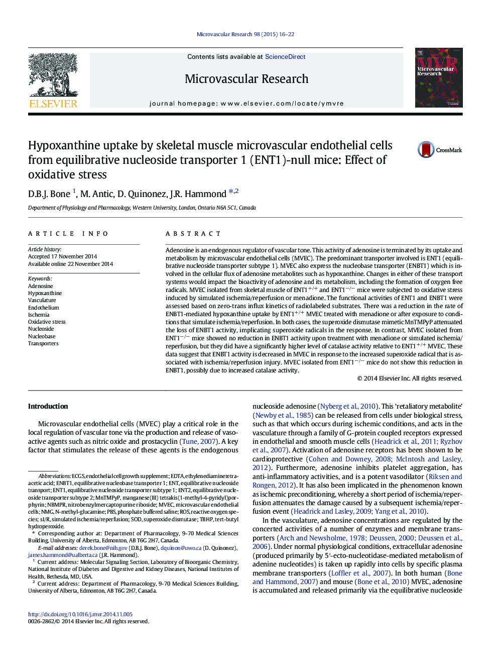 Hypoxanthine uptake by skeletal muscle microvascular endothelial cells from equilibrative nucleoside transporter 1 (ENT1)-null mice: Effect of oxidative stress