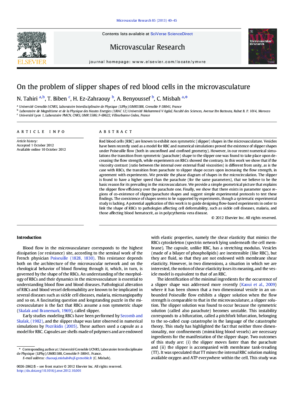 On the problem of slipper shapes of red blood cells in the microvasculature