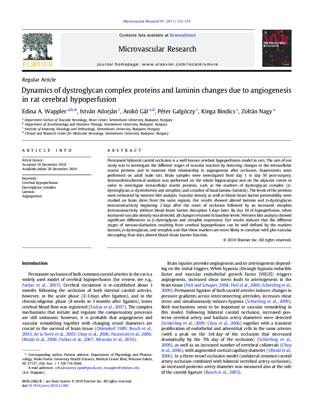 Dynamics of dystroglycan complex proteins and laminin changes due to angiogenesis in rat cerebral hypoperfusion