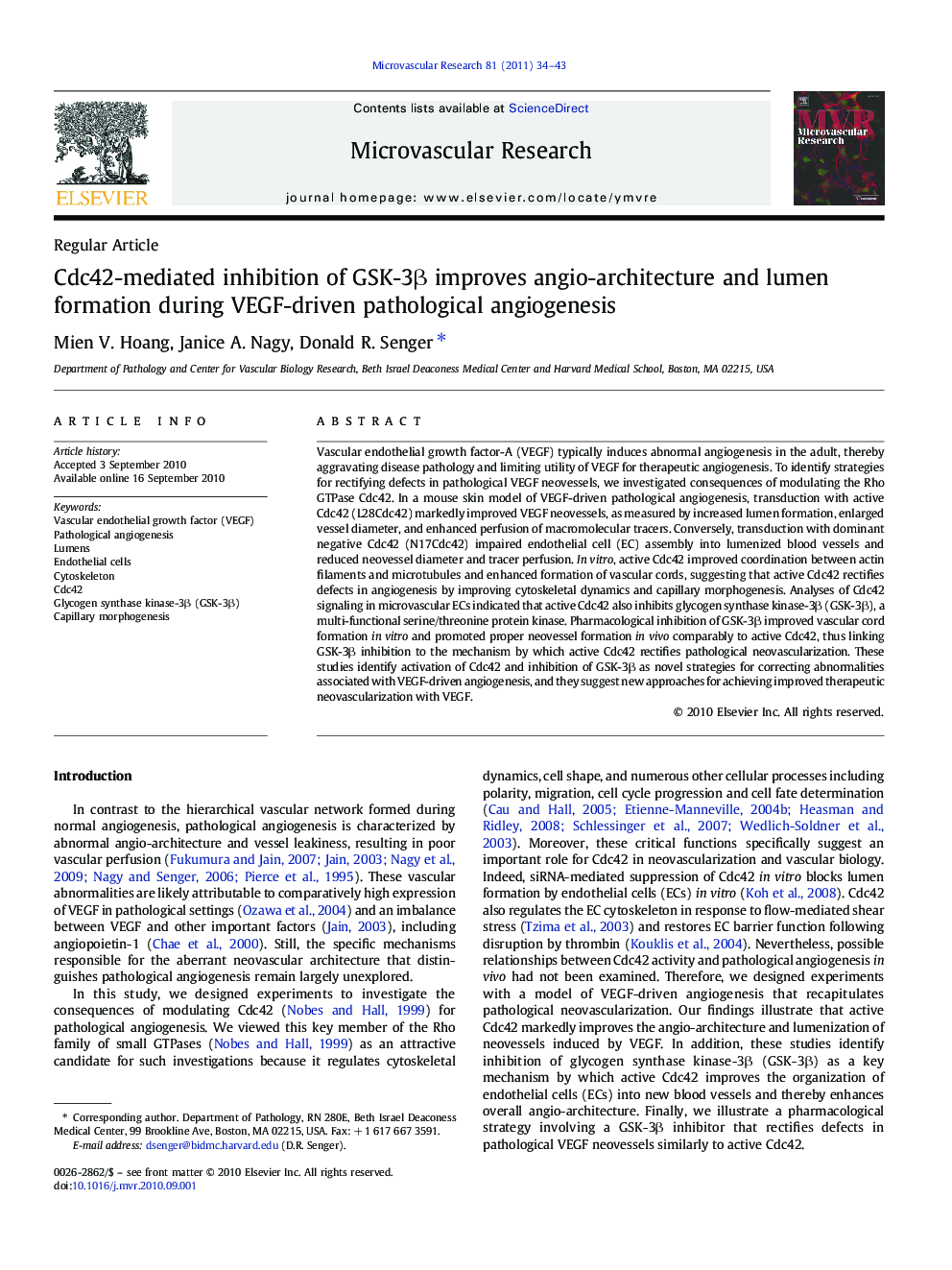 Cdc42-mediated inhibition of GSK-3β improves angio-architecture and lumen formation during VEGF-driven pathological angiogenesis