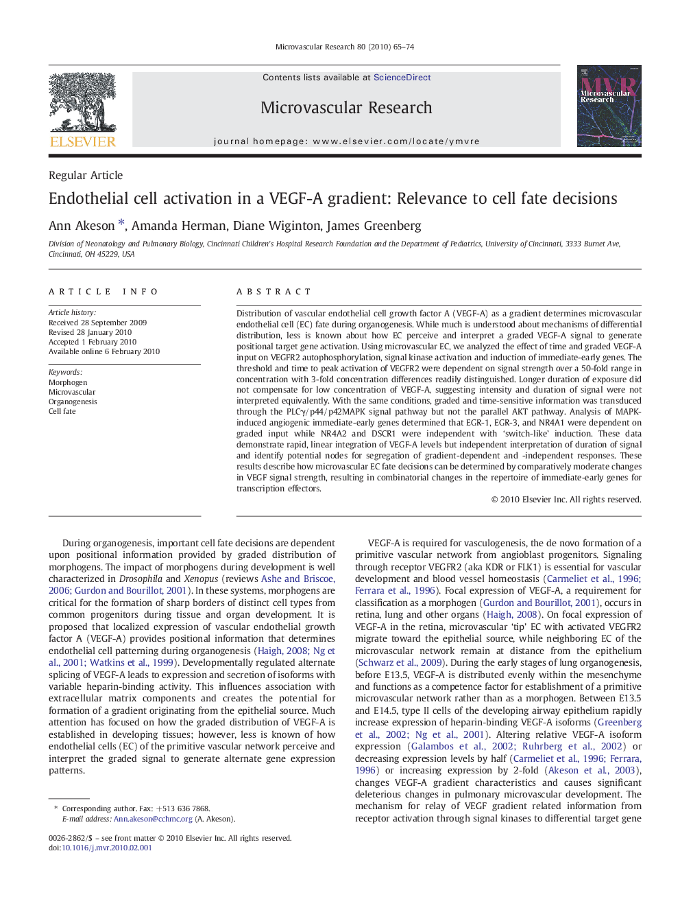 Endothelial cell activation in a VEGF-A gradient: Relevance to cell fate decisions