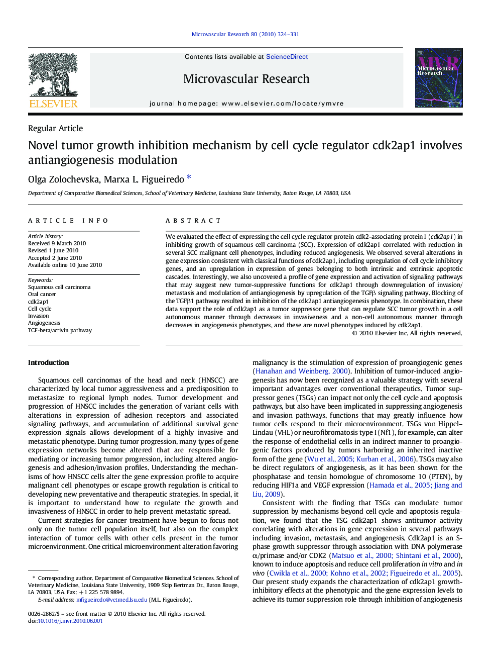 Novel tumor growth inhibition mechanism by cell cycle regulator cdk2ap1 involves antiangiogenesis modulation