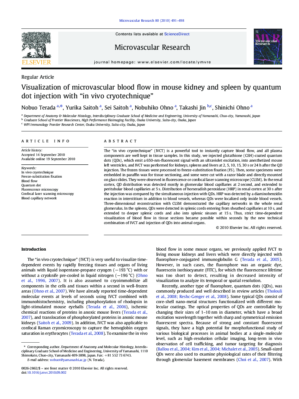 Visualization of microvascular blood flow in mouse kidney and spleen by quantum dot injection with “in vivo cryotechnique”