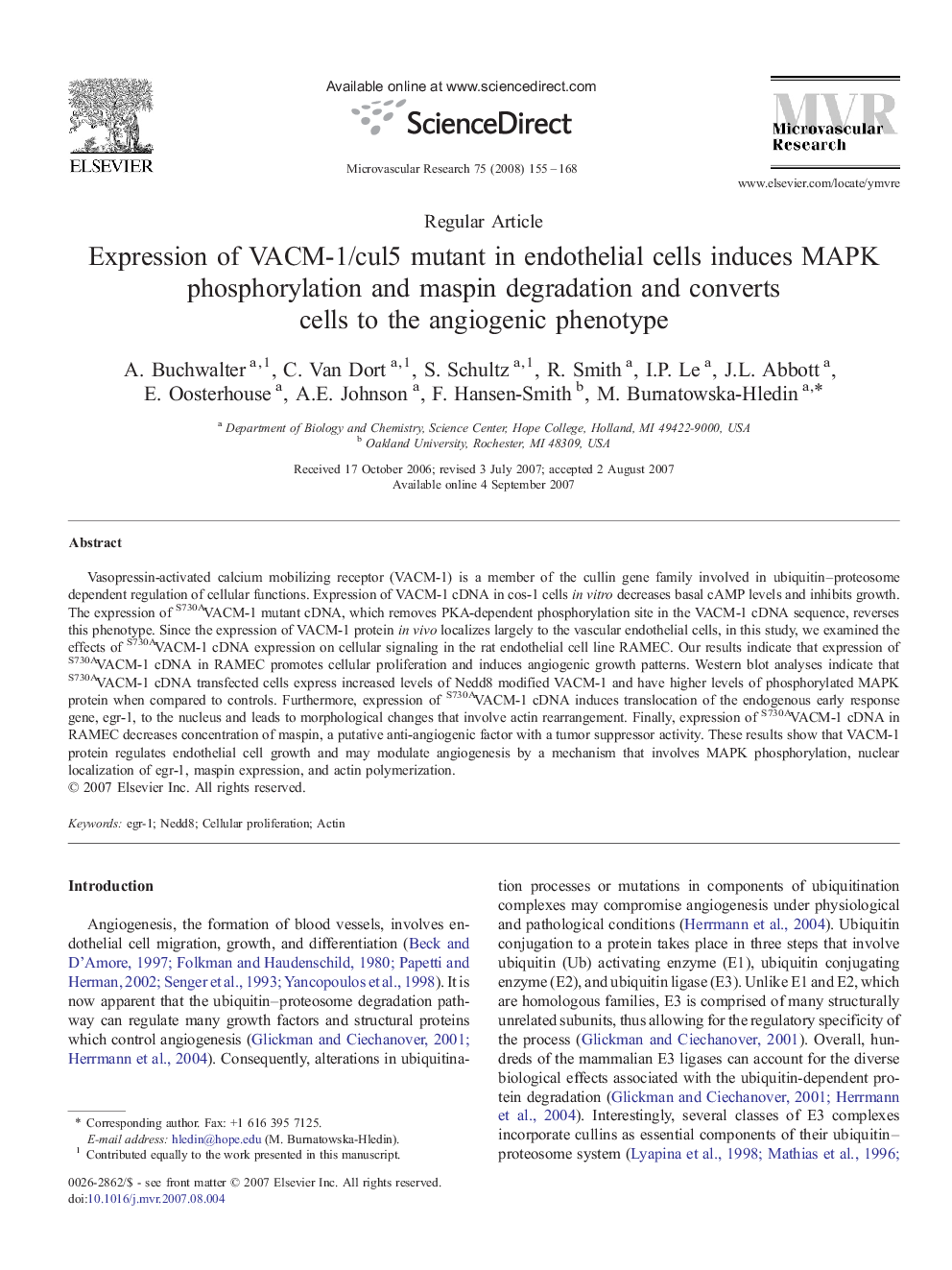 Expression of VACM-1/cul5 mutant in endothelial cells induces MAPK phosphorylation and maspin degradation and converts cells to the angiogenic phenotype