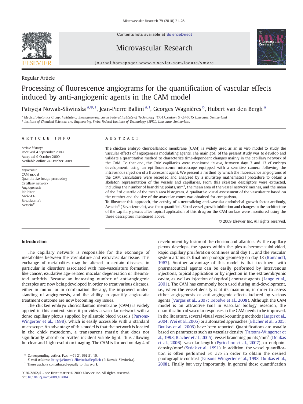 Processing of fluorescence angiograms for the quantification of vascular effects induced by anti-angiogenic agents in the CAM model