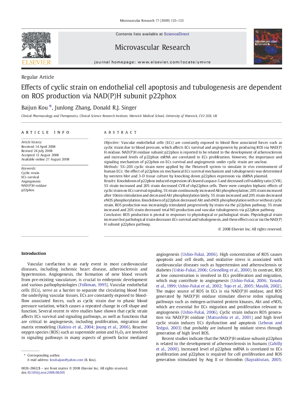 Effects of cyclic strain on endothelial cell apoptosis and tubulogenesis are dependent on ROS production via NAD(P)H subunit p22phox