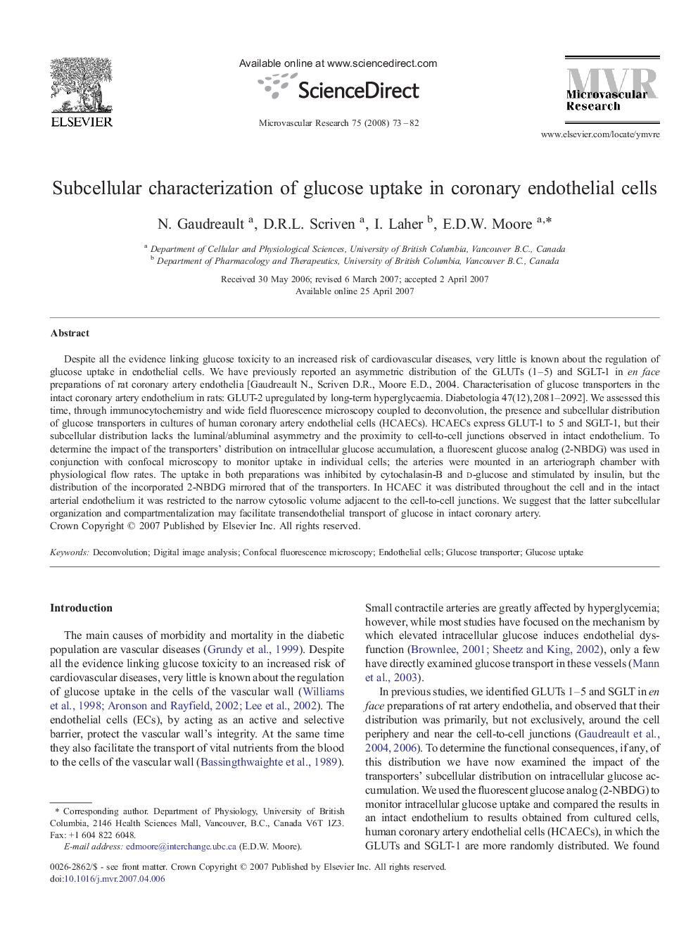 Subcellular characterization of glucose uptake in coronary endothelial cells