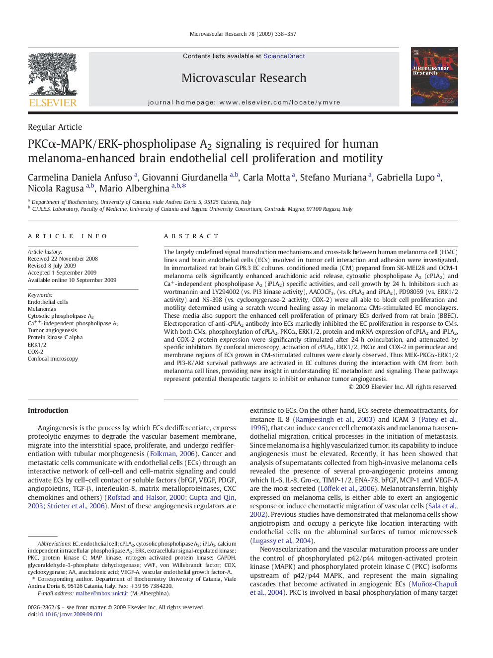 PKCÎ±-MAPK/ERK-phospholipase A2 signaling is required for human melanoma-enhanced brain endothelial cell proliferation and motility