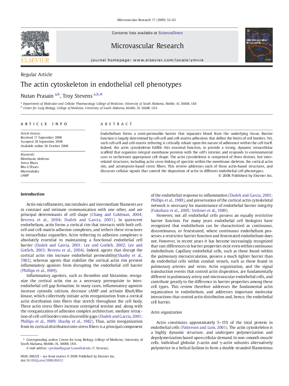 The actin cytoskeleton in endothelial cell phenotypes