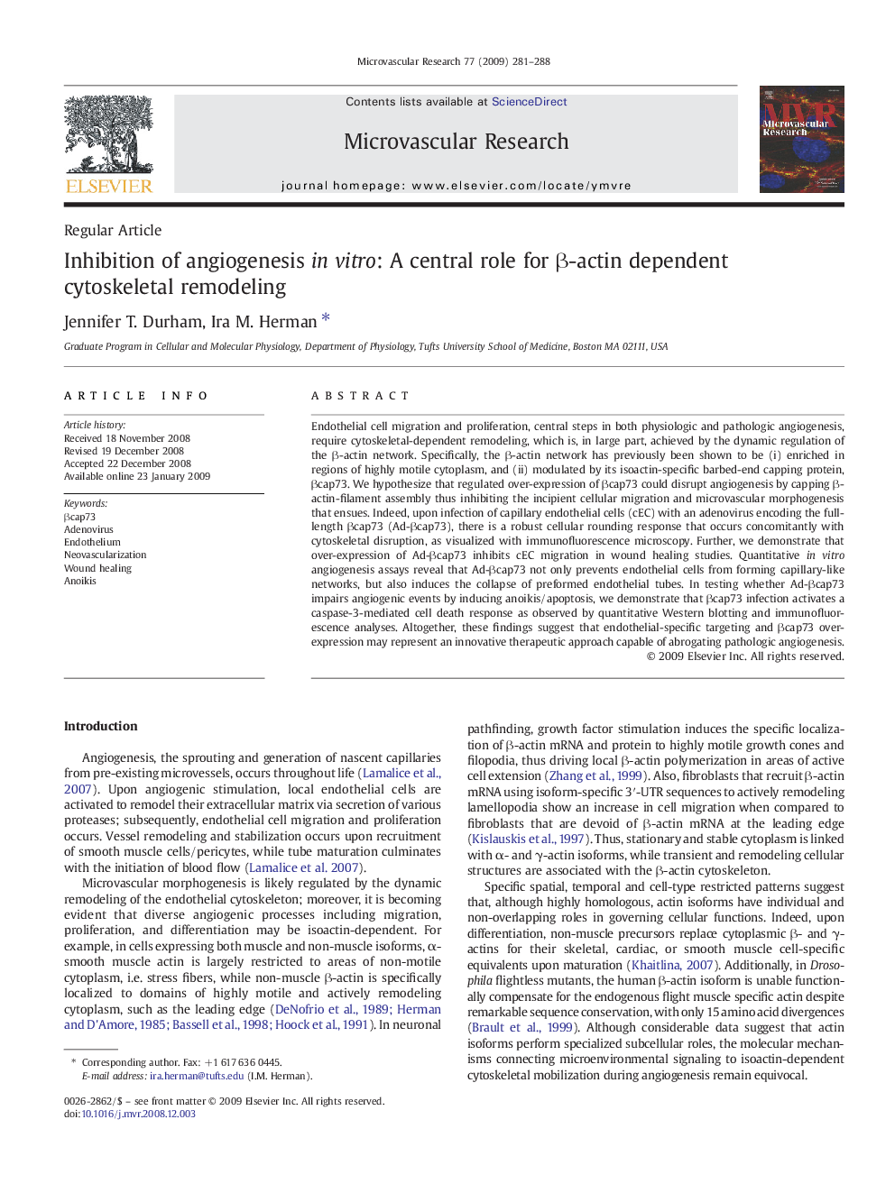 Inhibition of angiogenesis in vitro: A central role for β-actin dependent cytoskeletal remodeling