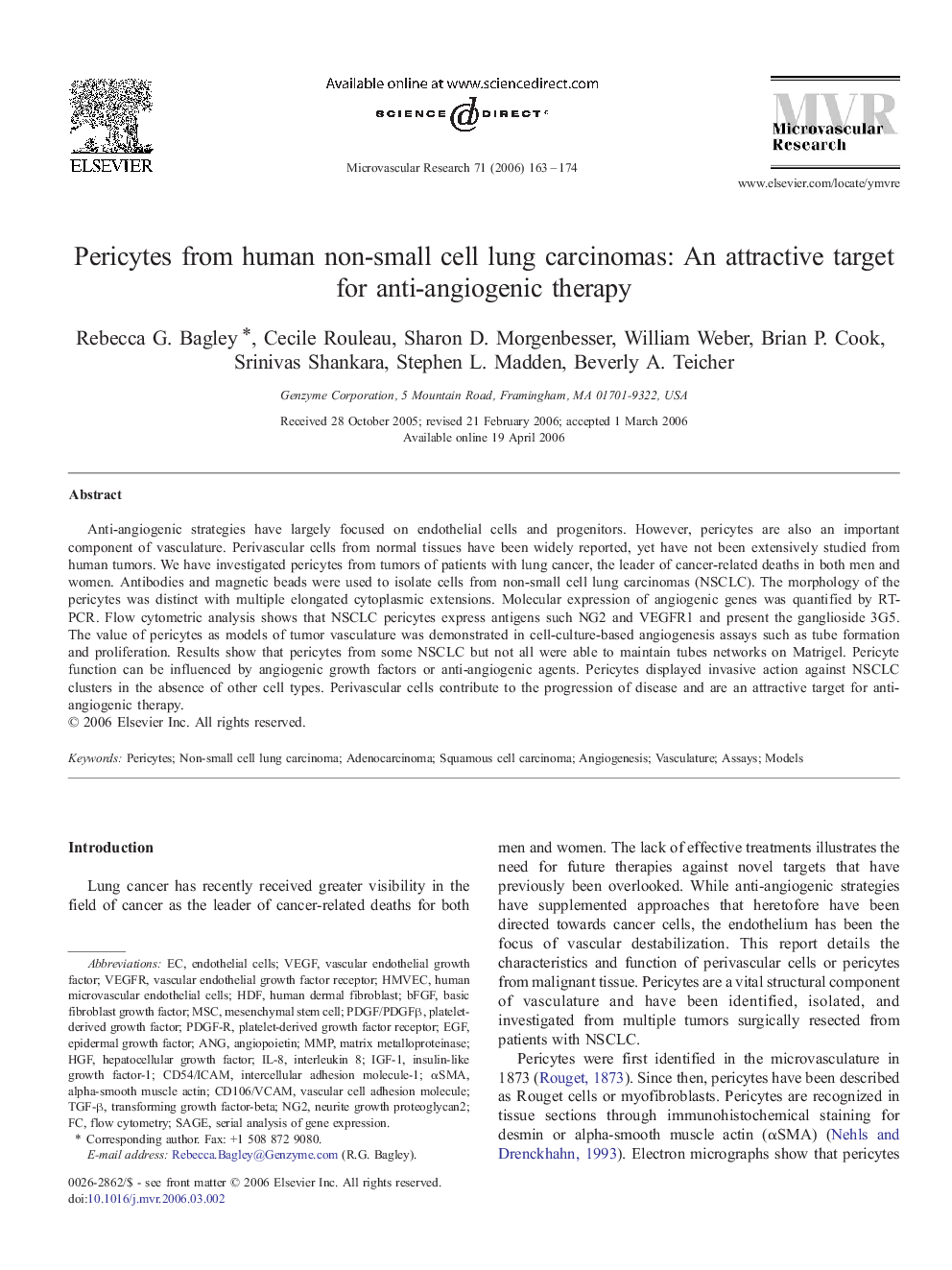 Pericytes from human non-small cell lung carcinomas: An attractive target for anti-angiogenic therapy