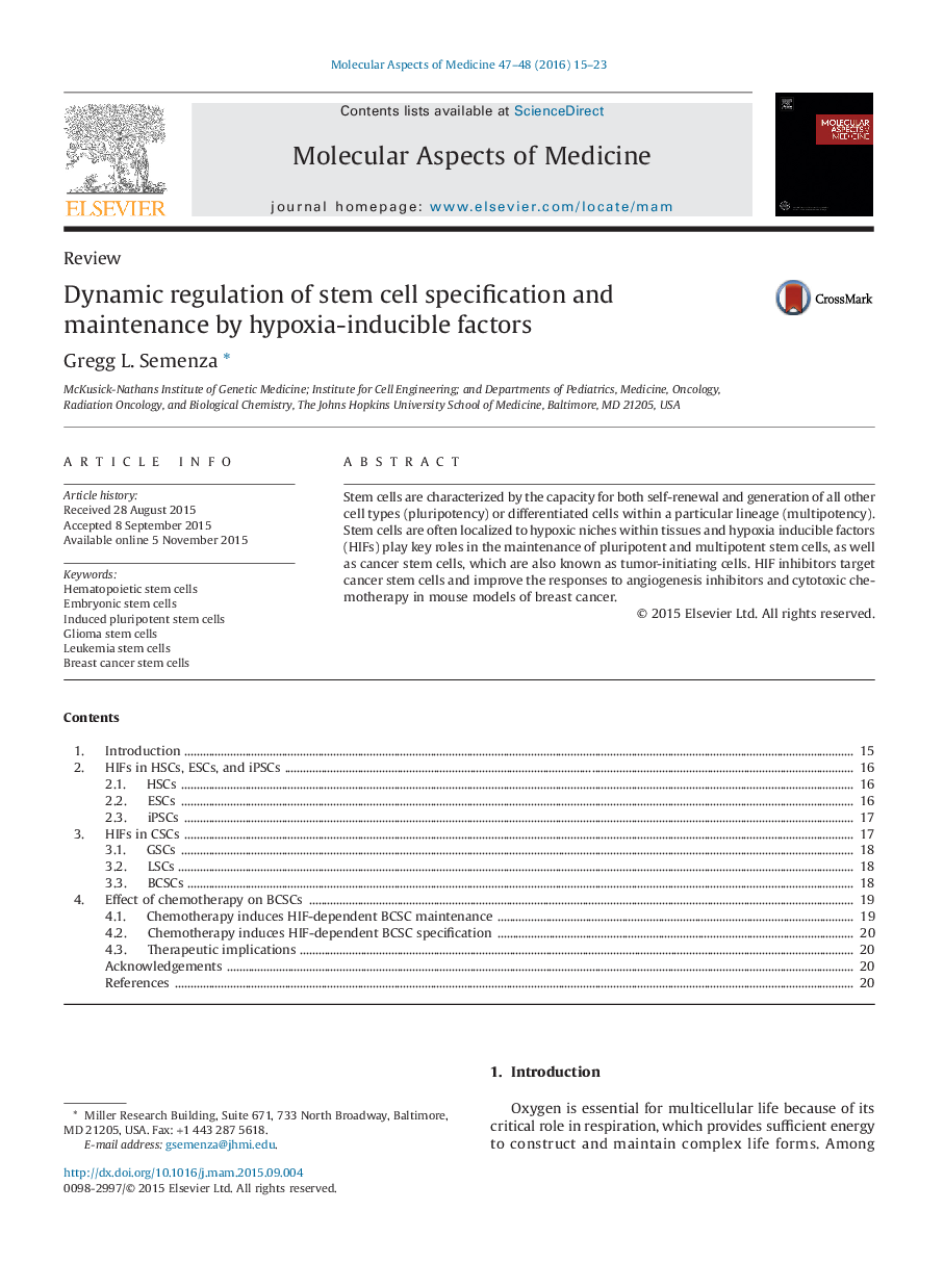 Dynamic regulation of stem cell specification and maintenance by hypoxia-inducible factors