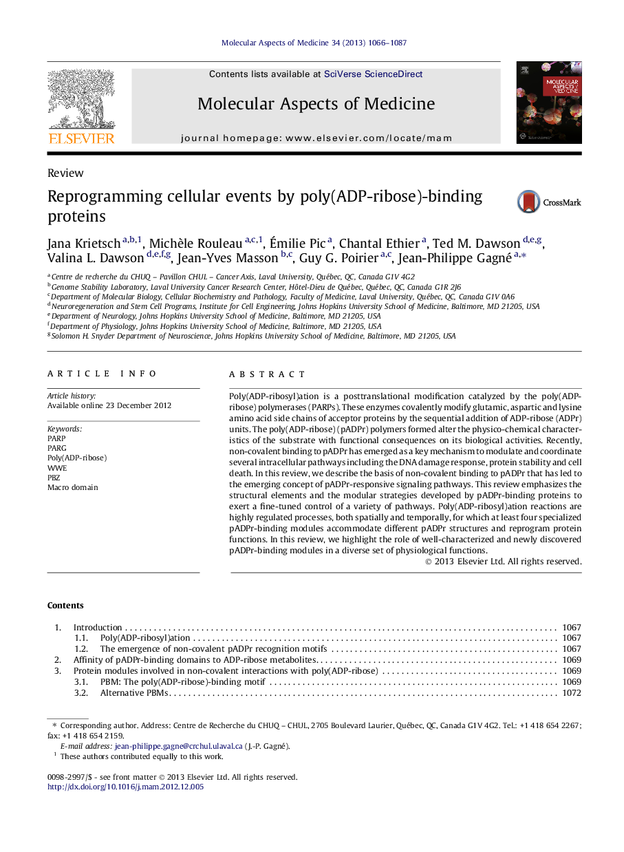 Reprogramming cellular events by poly(ADP-ribose)-binding proteins