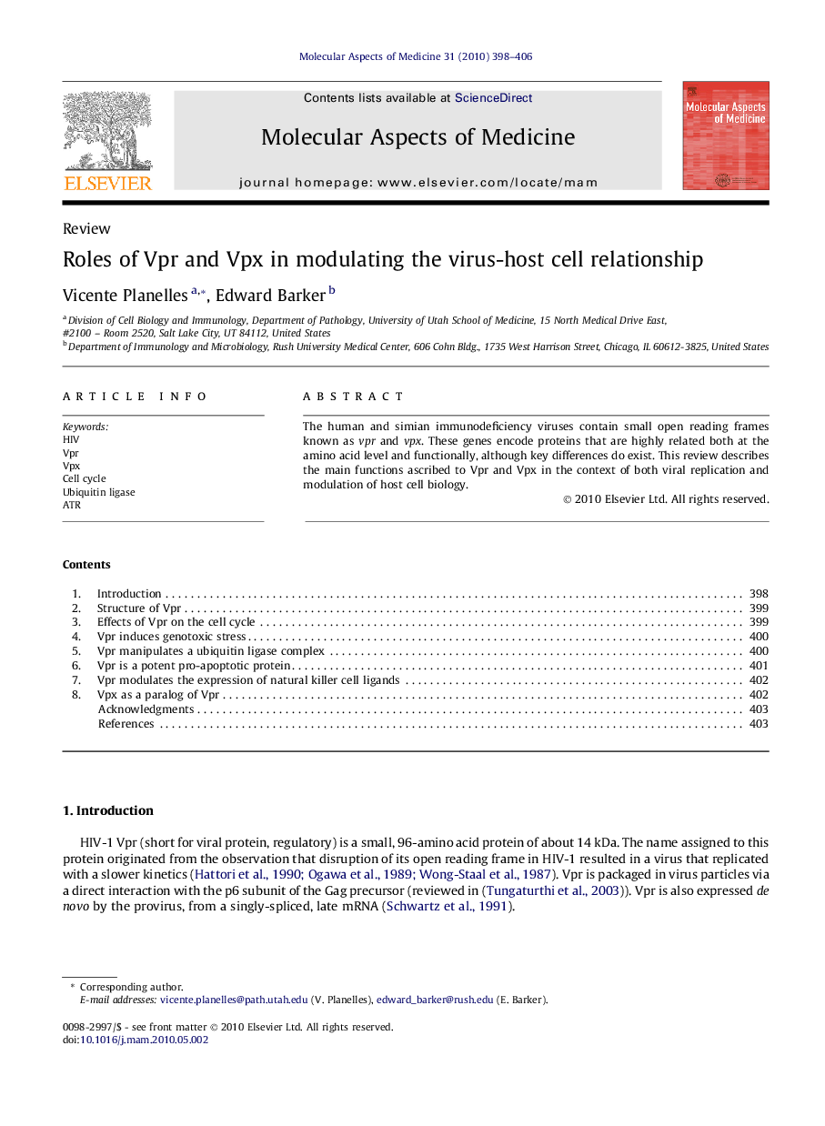 Roles of Vpr and Vpx in modulating the virus-host cell relationship