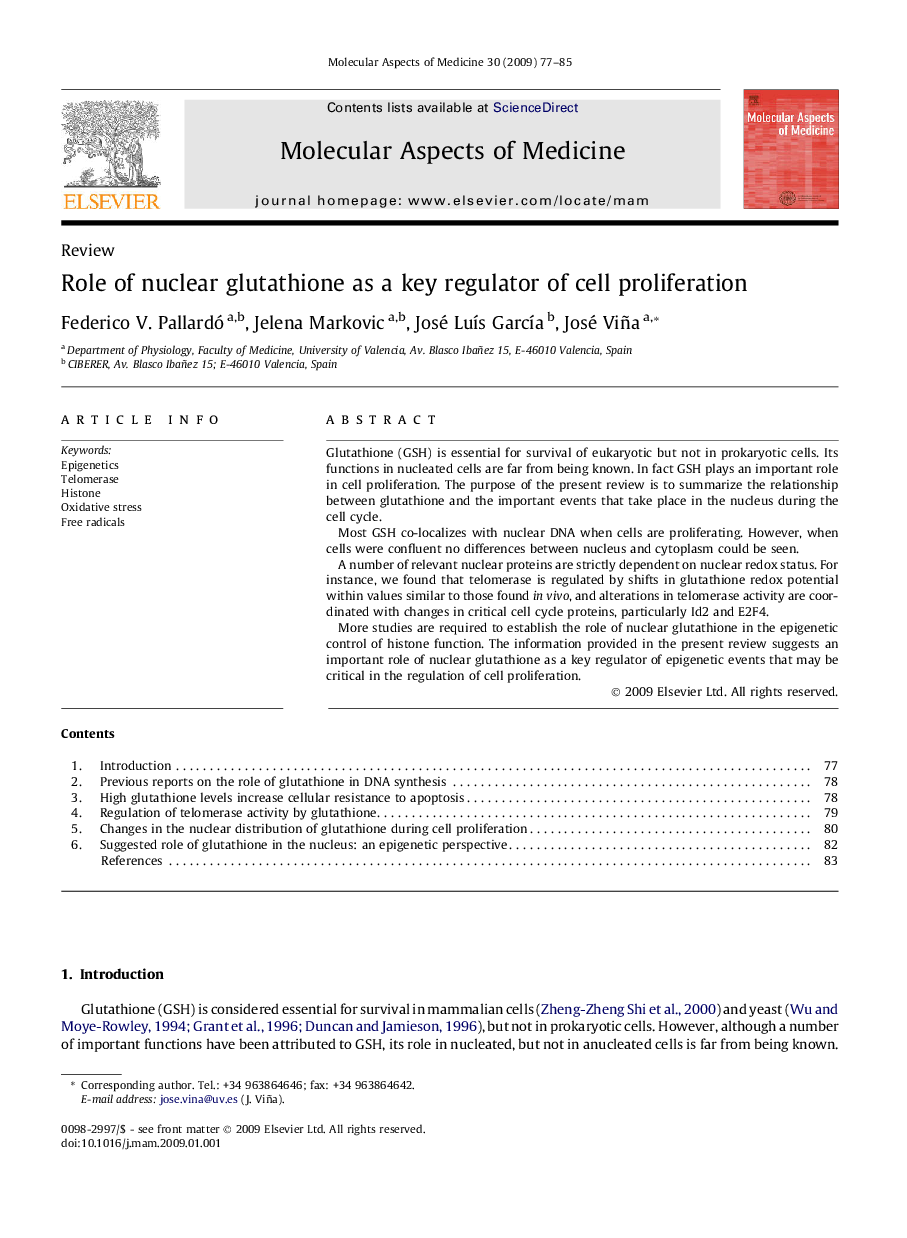 Role of nuclear glutathione as a key regulator of cell proliferation