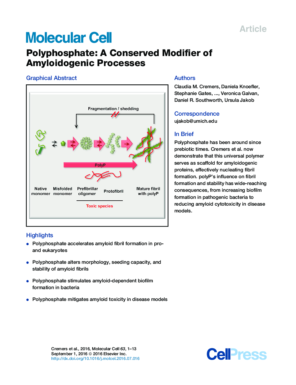 Polyphosphate: A Conserved Modifier of Amyloidogenic Processes