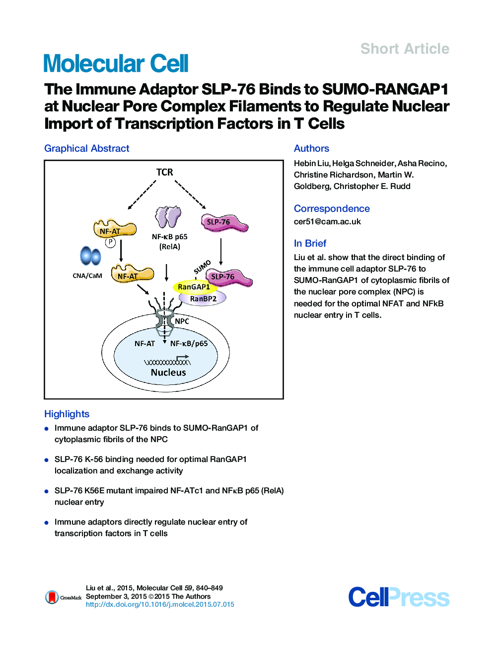 The Immune Adaptor SLP-76 Binds to SUMO-RANGAP1 at Nuclear Pore Complex Filaments to Regulate Nuclear Import of Transcription Factors in T Cells 