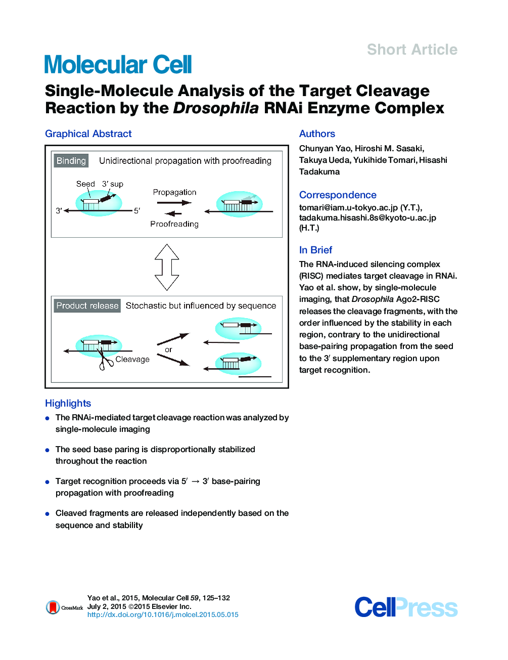Single-Molecule Analysis of the Target Cleavage Reaction by the Drosophila RNAi Enzyme Complex