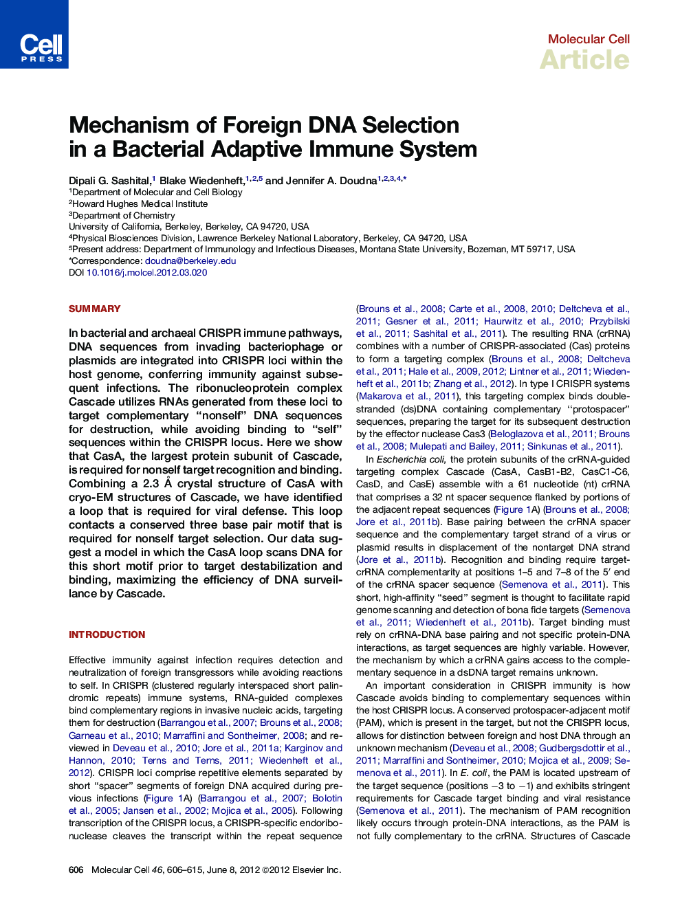 Mechanism of Foreign DNA Selection in a Bacterial Adaptive Immune System