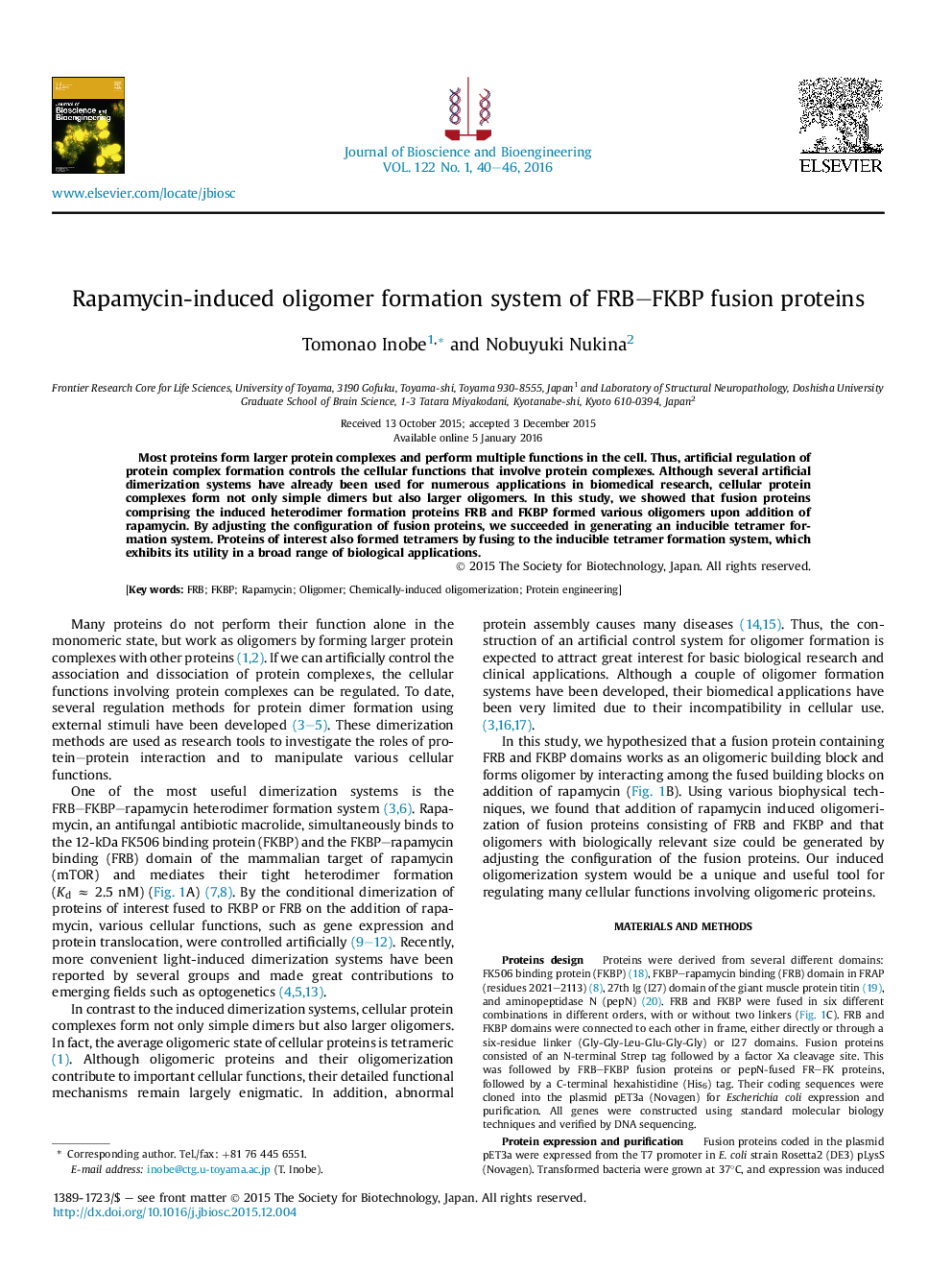 Rapamycin-induced oligomer formation system of FRB–FKBP fusion proteins