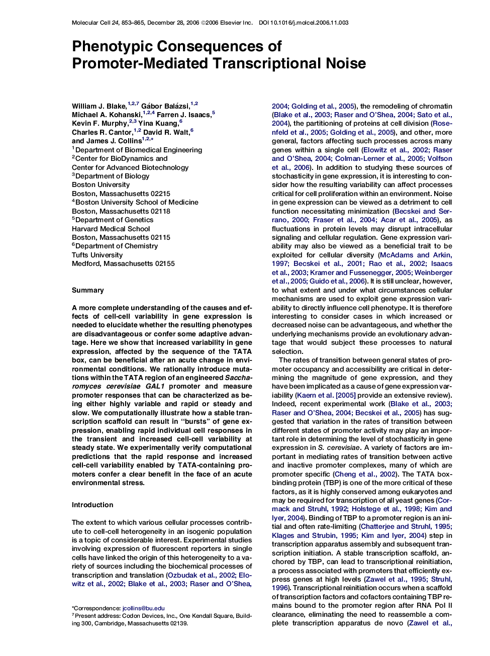 Phenotypic Consequences of Promoter-Mediated Transcriptional Noise