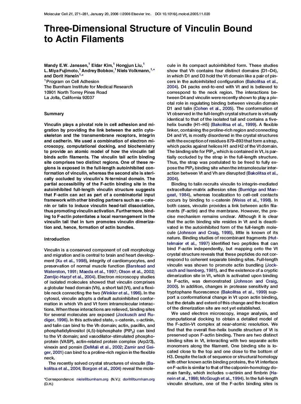 Three-Dimensional Structure of Vinculin Bound to Actin Filaments