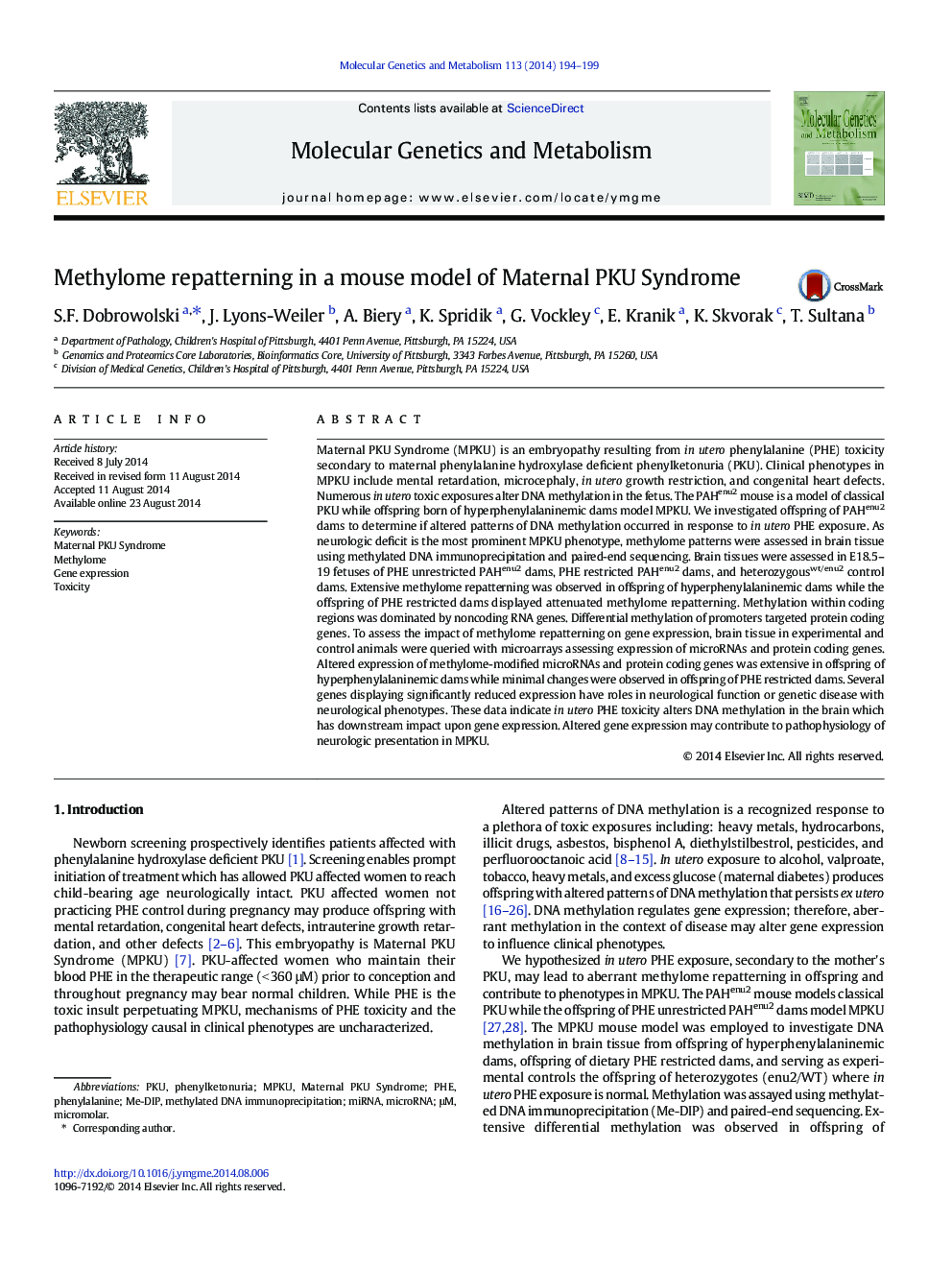 Methylome repatterning in a mouse model of Maternal PKU Syndrome