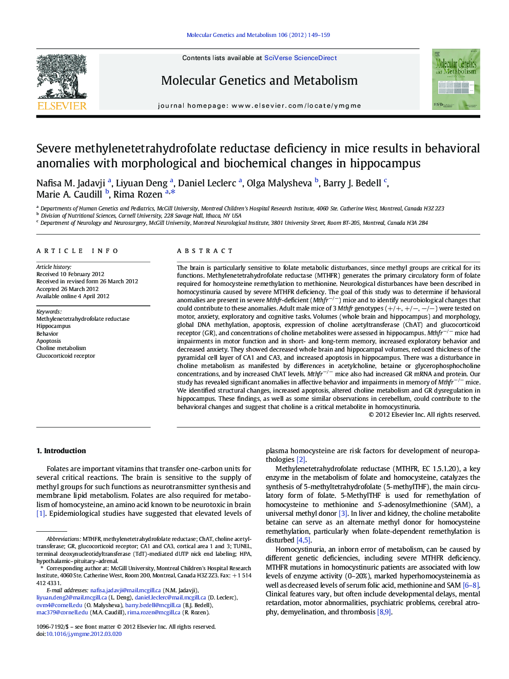 Severe methylenetetrahydrofolate reductase deficiency in mice results in behavioral anomalies with morphological and biochemical changes in hippocampus