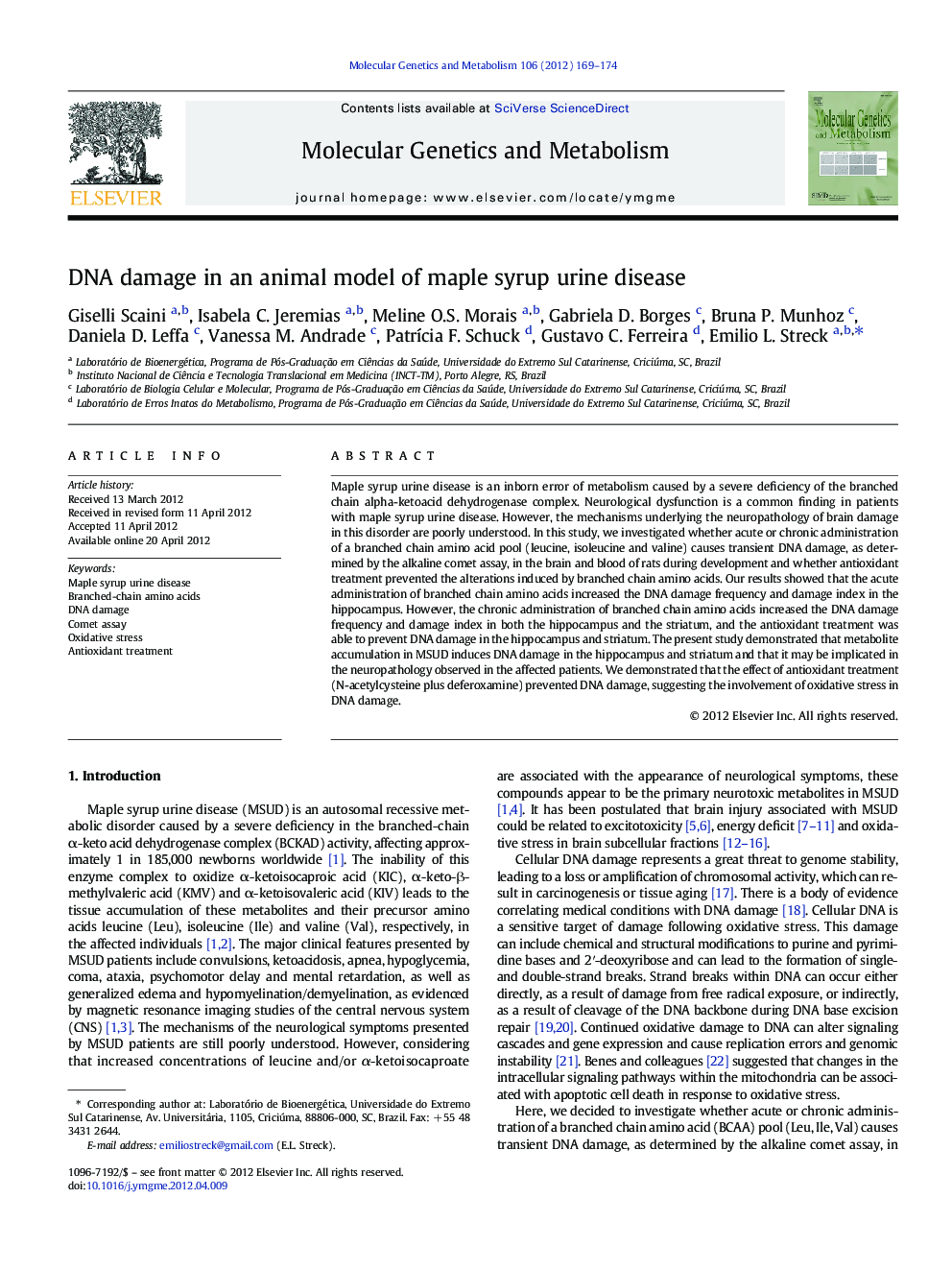 DNA damage in an animal model of maple syrup urine disease