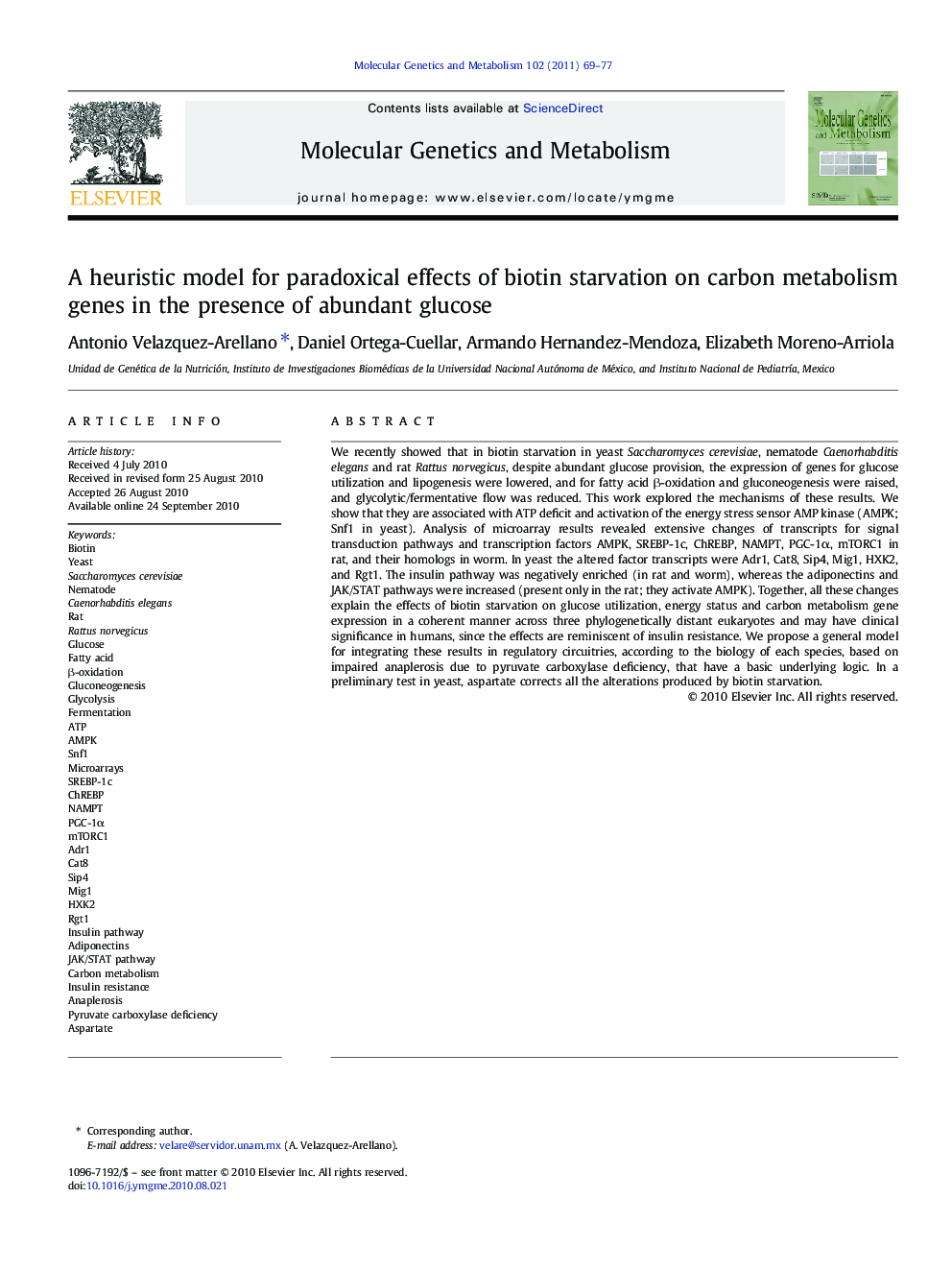 A heuristic model for paradoxical effects of biotin starvation on carbon metabolism genes in the presence of abundant glucose