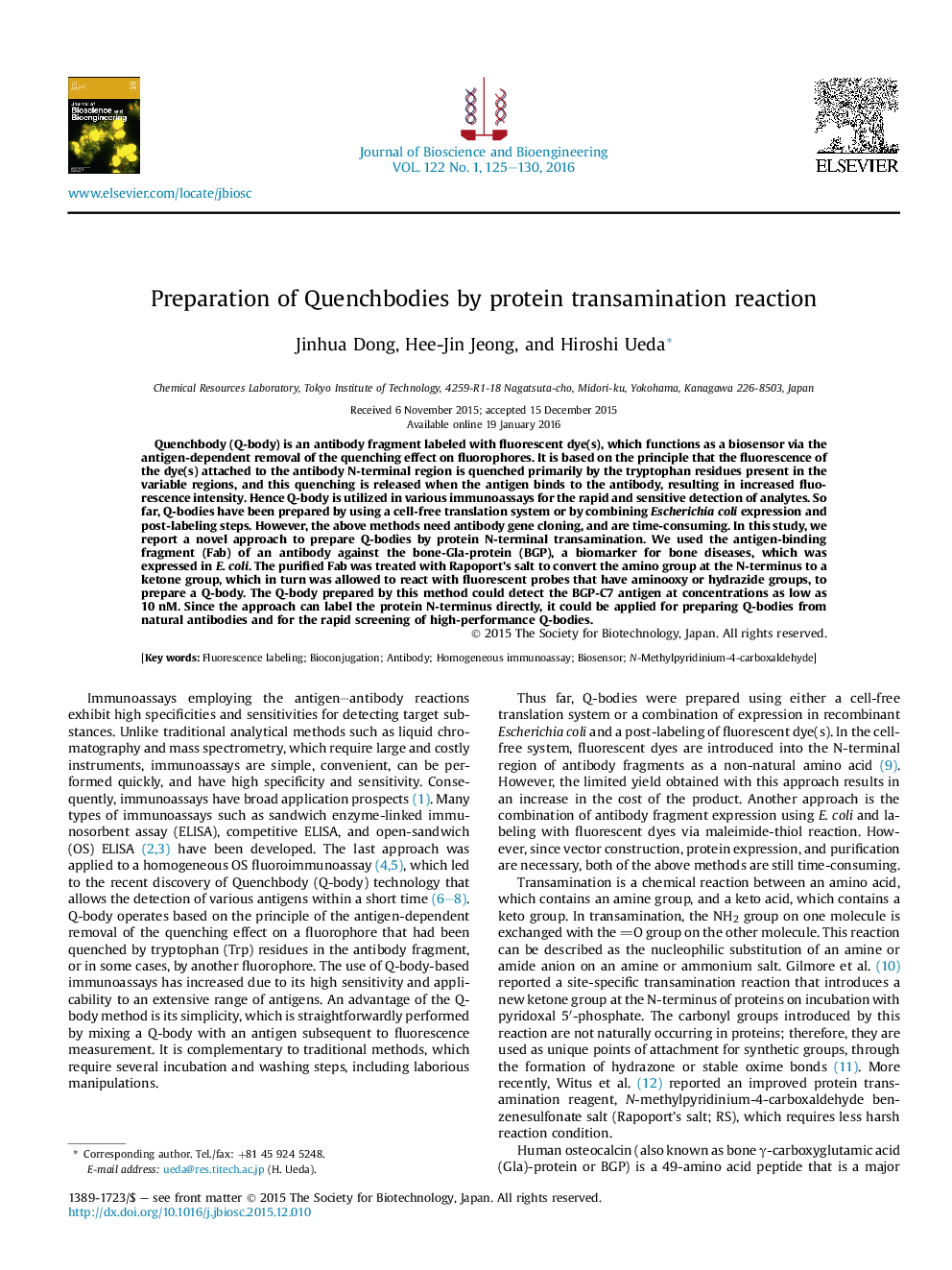 Preparation of Quenchbodies by protein transamination reaction