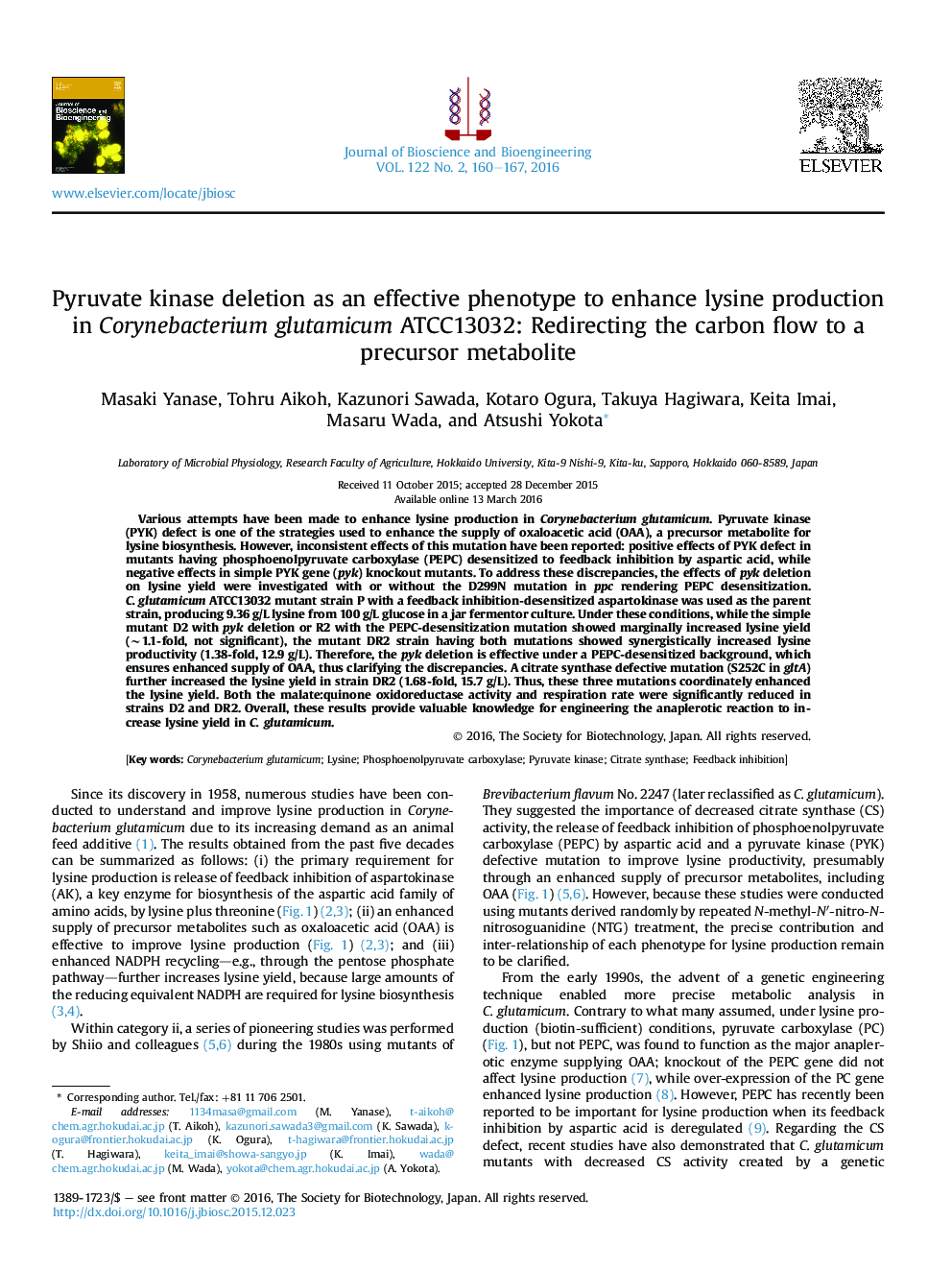 Pyruvate kinase deletion as an effective phenotype to enhance lysine production in Corynebacterium glutamicum ATCC13032: Redirecting the carbon flow to a precursor metabolite