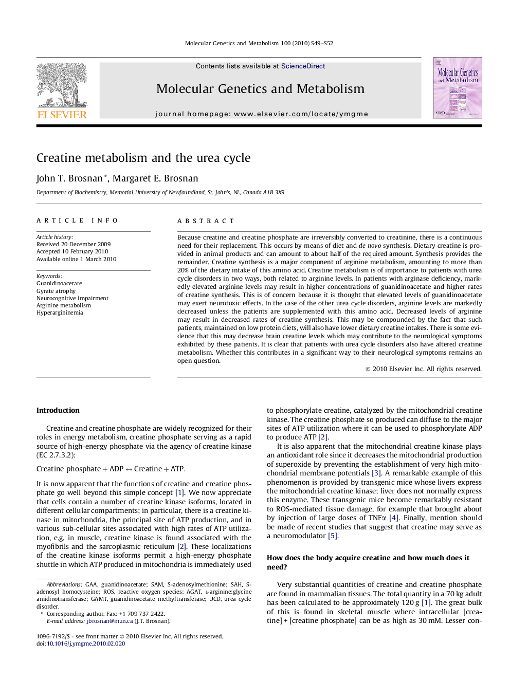 Creatine metabolism and the urea cycle