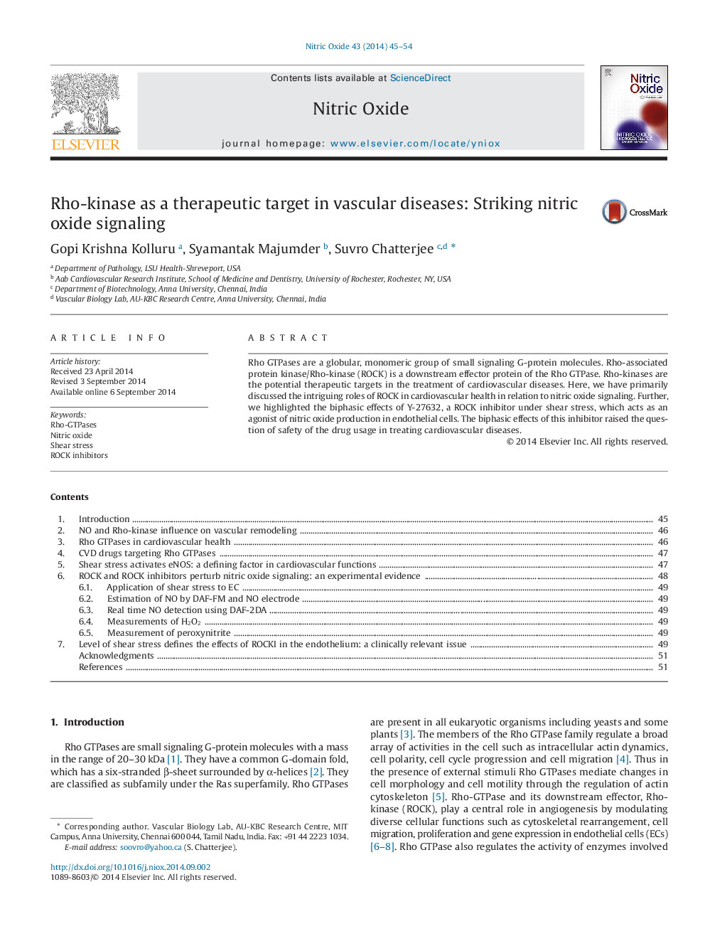 Rho-kinase as a therapeutic target in vascular diseases: Striking nitric oxide signaling