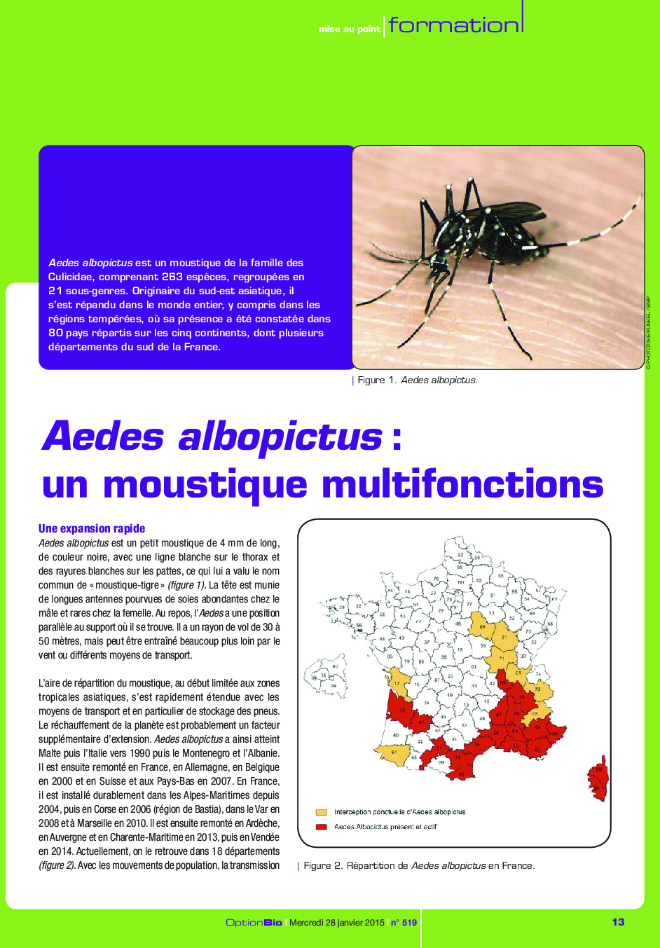 عکس صفحه اول مقاله: Aedes albopictus : un moustique multifonctions Aedes albopictus : un moustique multifonctions