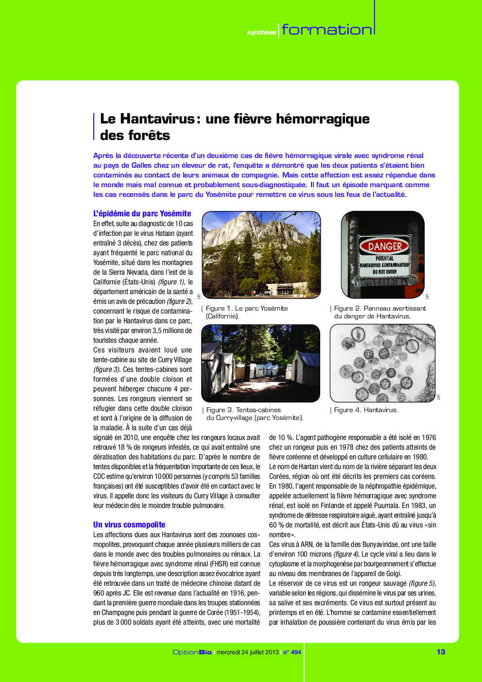 Le Hantavirus : une fiÃ¨vre hémorragique des forÃªts