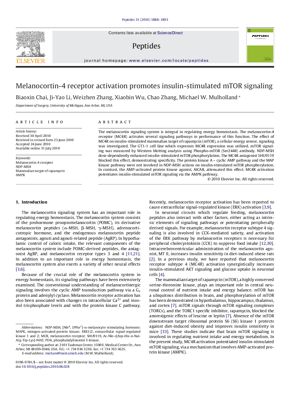 Melanocortin-4 receptor activation promotes insulin-stimulated mTOR signaling