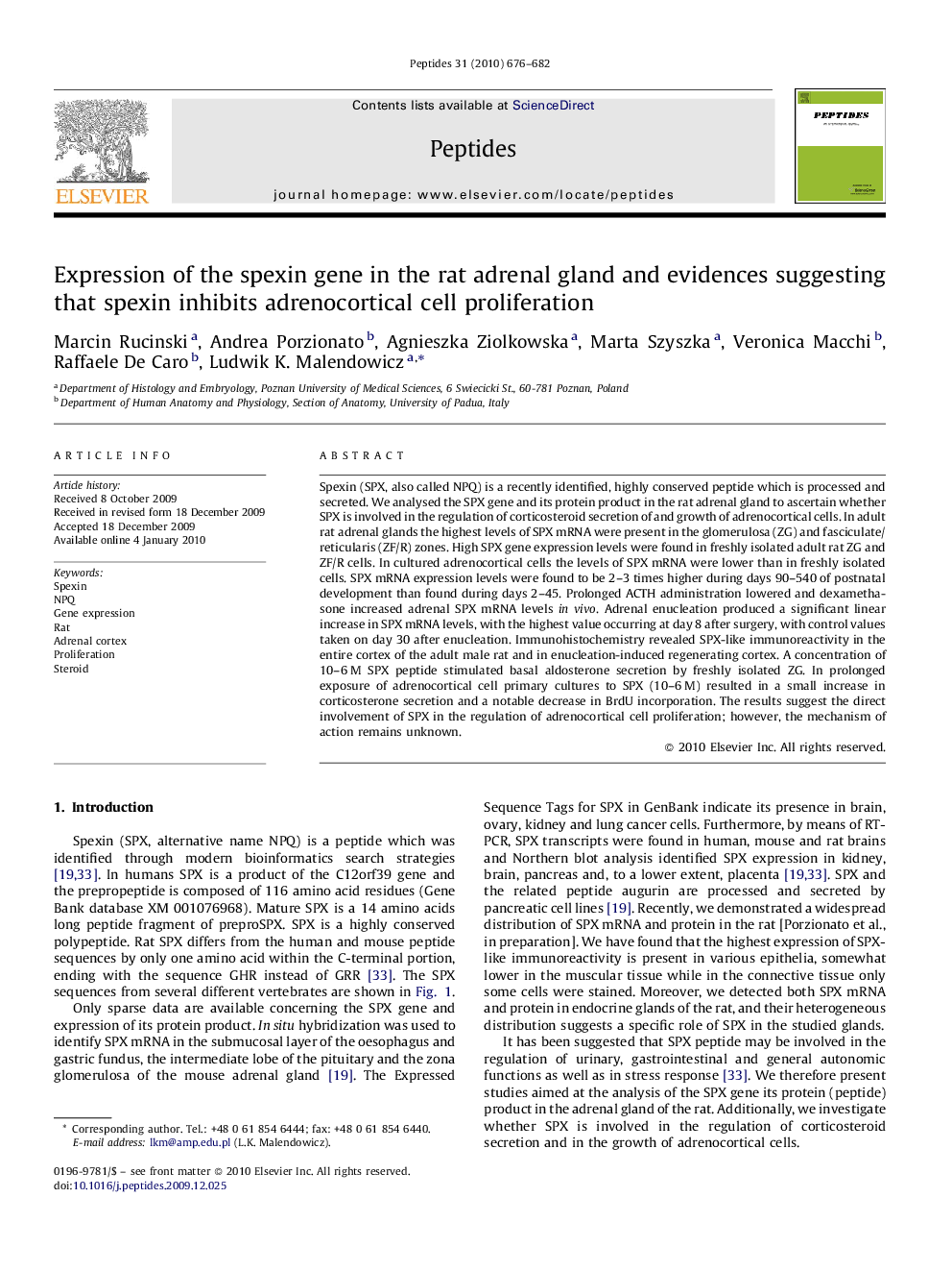 Expression of the spexin gene in the rat adrenal gland and evidences suggesting that spexin inhibits adrenocortical cell proliferation