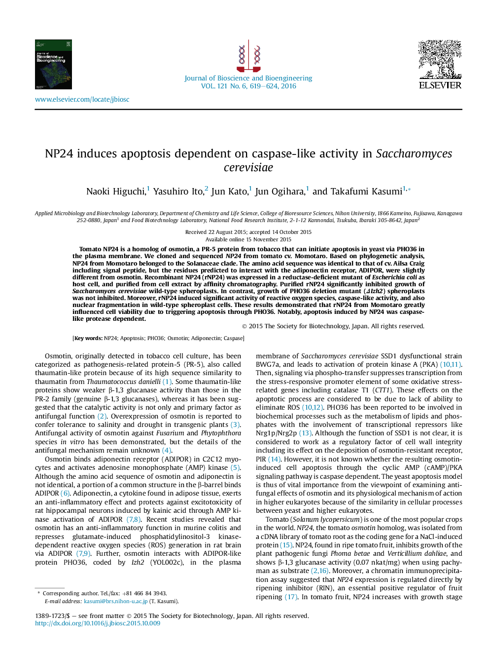 NP24 induces apoptosis dependent on caspase-like activity in Saccharomyces cerevisiae