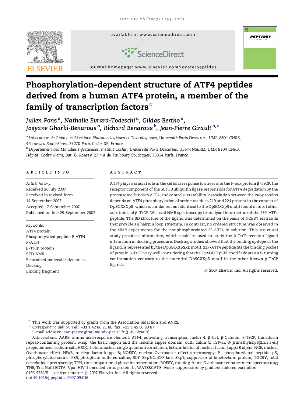 Phosphorylation-dependent structure of ATF4 peptides derived from a human ATF4 protein, a member of the family of transcription factors 